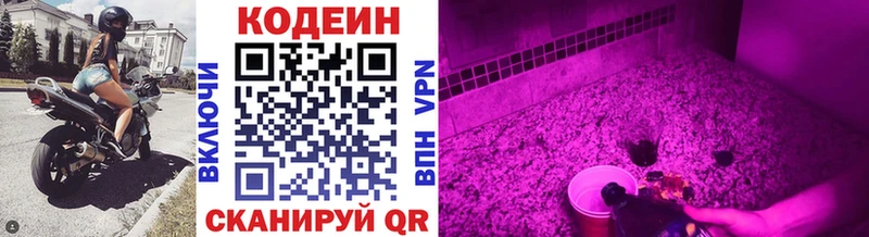 МЕГА ссылки  Злынка  Кодеиновый сироп Lean напиток Lean (лин) 