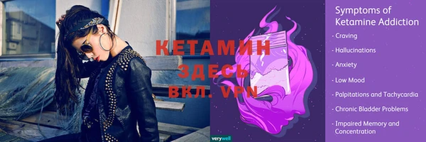 сатива Волосово
