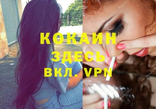 эйфоретик Вяземский