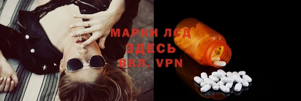 сатива Волосово