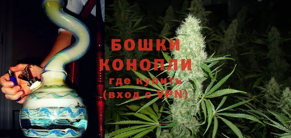 сатива Володарск