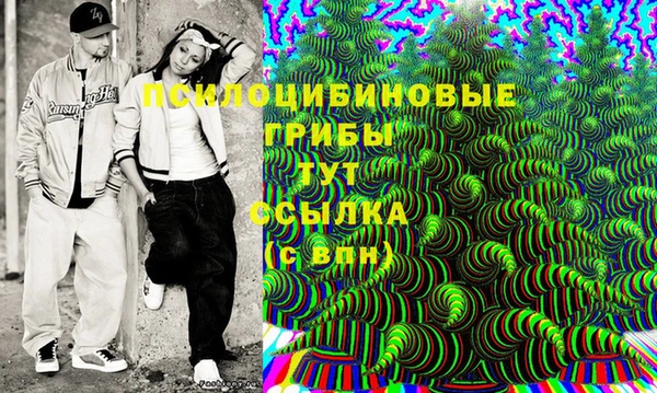 сатива Володарск
