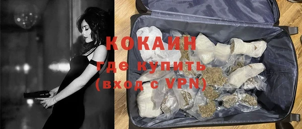 сатива Володарск