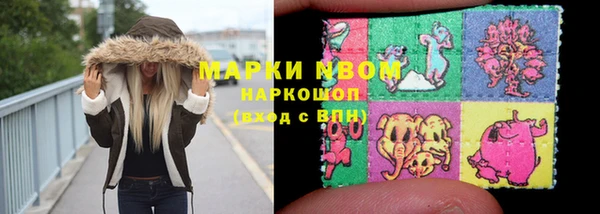 сатива Волосово