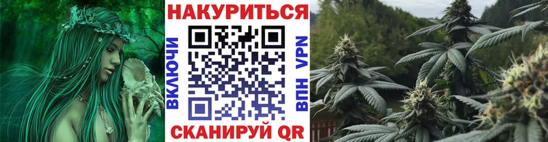 Марихуана тримм  наркотики  Злынка 